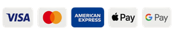 Visa, Mastercard, Amex, Apple Pay, Google Pay